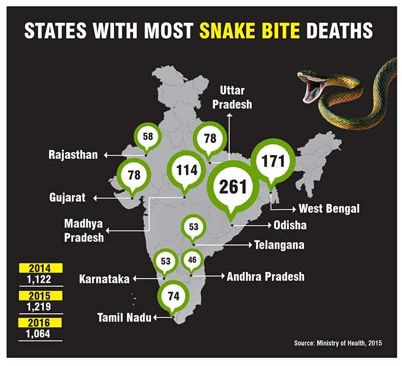 Why India tops in snake bite deaths?